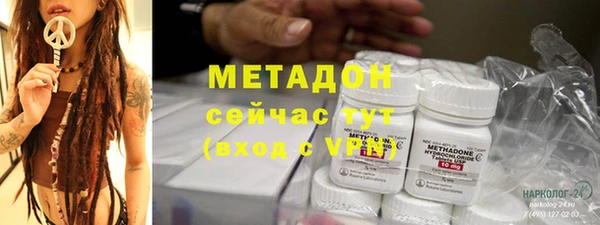 индика Абаза