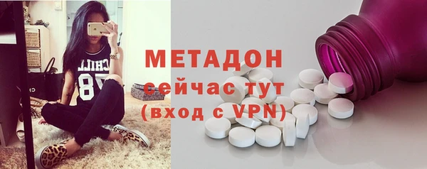 индика Абаза