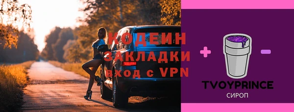 индика Абаза