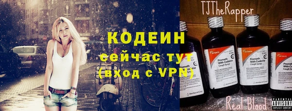 индика Абаза