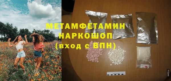 индика Абаза