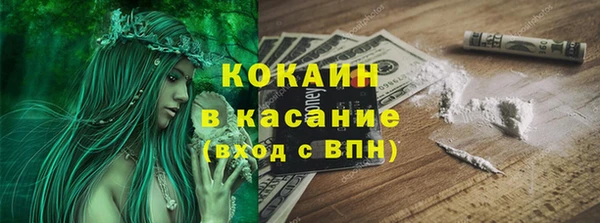 ГАЛЛЮЦИНОГЕННЫЕ ГРИБЫ Алзамай