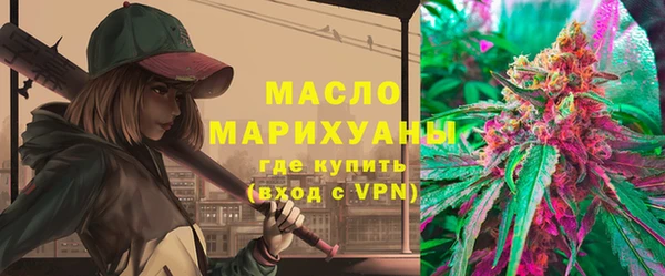 индика Абаза