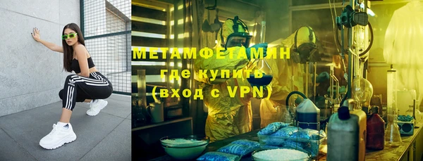 индика Абаза