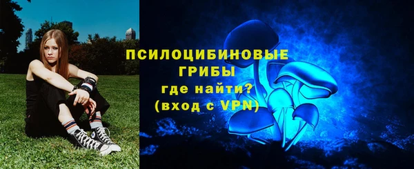индика Абаза