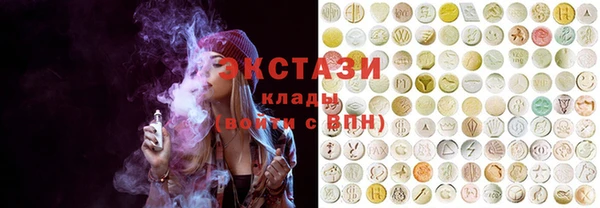 индика Абаза